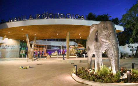 manilazoo.ph appointment|Manila Zoo is Reopening: Dates, Tickets, Operating Hours .